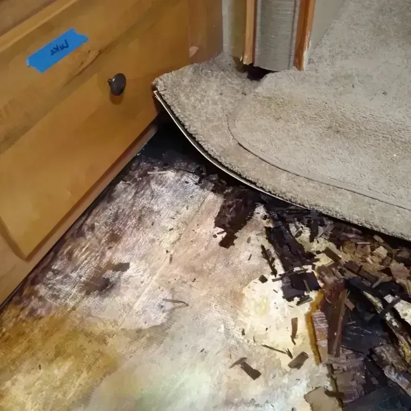 Best Wood Floor Water Damage Service in Hawley, PA